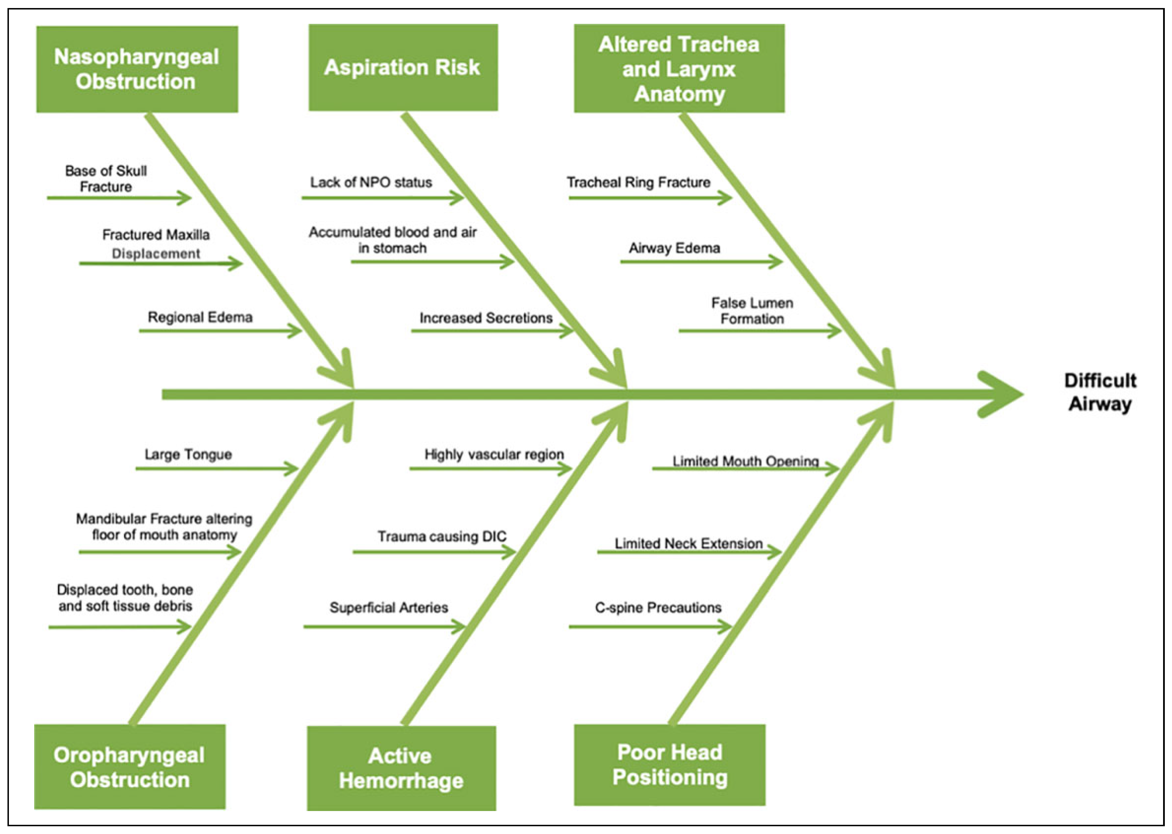 Cmtr 14 00017 g002 Cmtr 14 00017 g002
