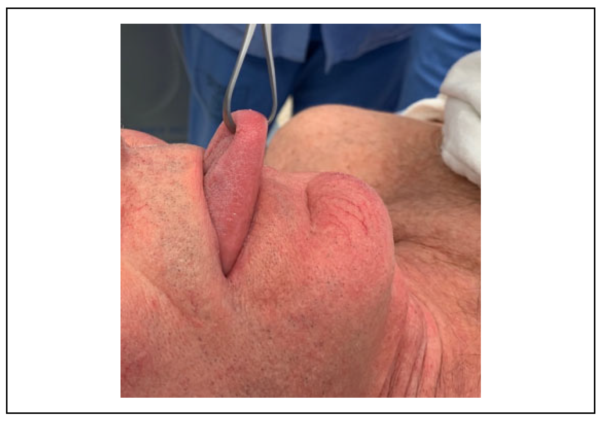 Cmtr 14 00017 g003 Cmtr 14 00017 g003