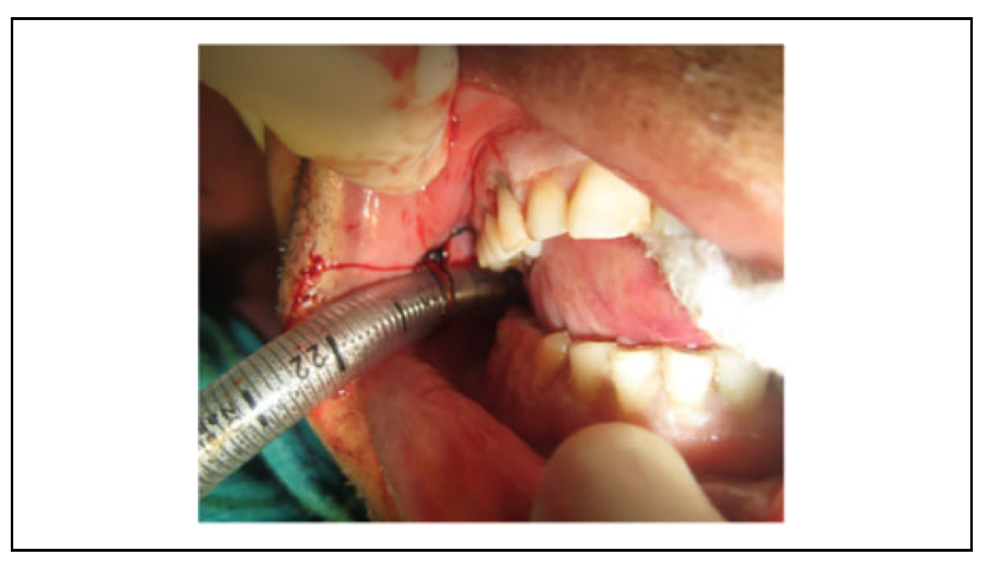 Cmtr 14 00017 g005 Cmtr 14 00017 g005