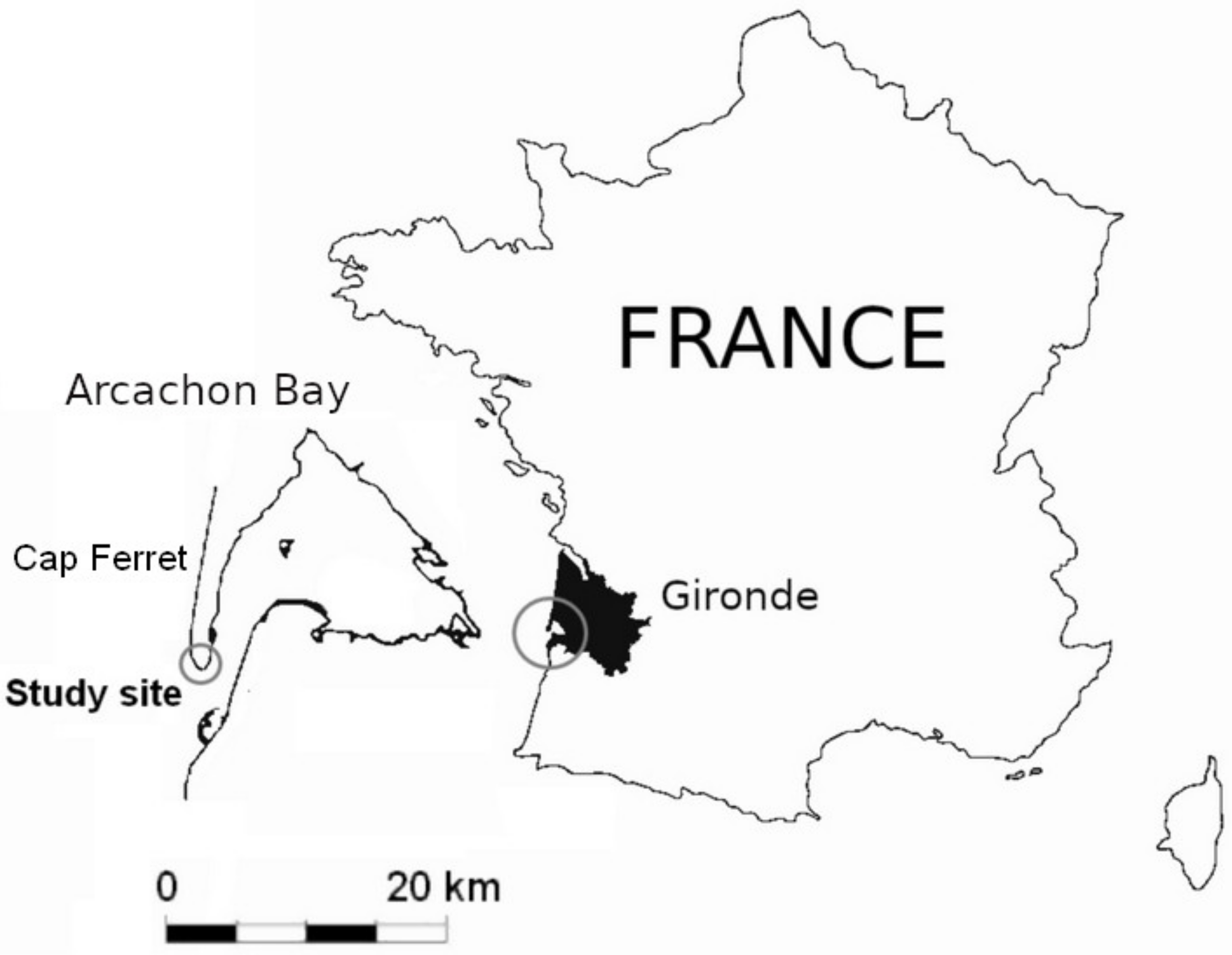 Coasts 02 00005 g001