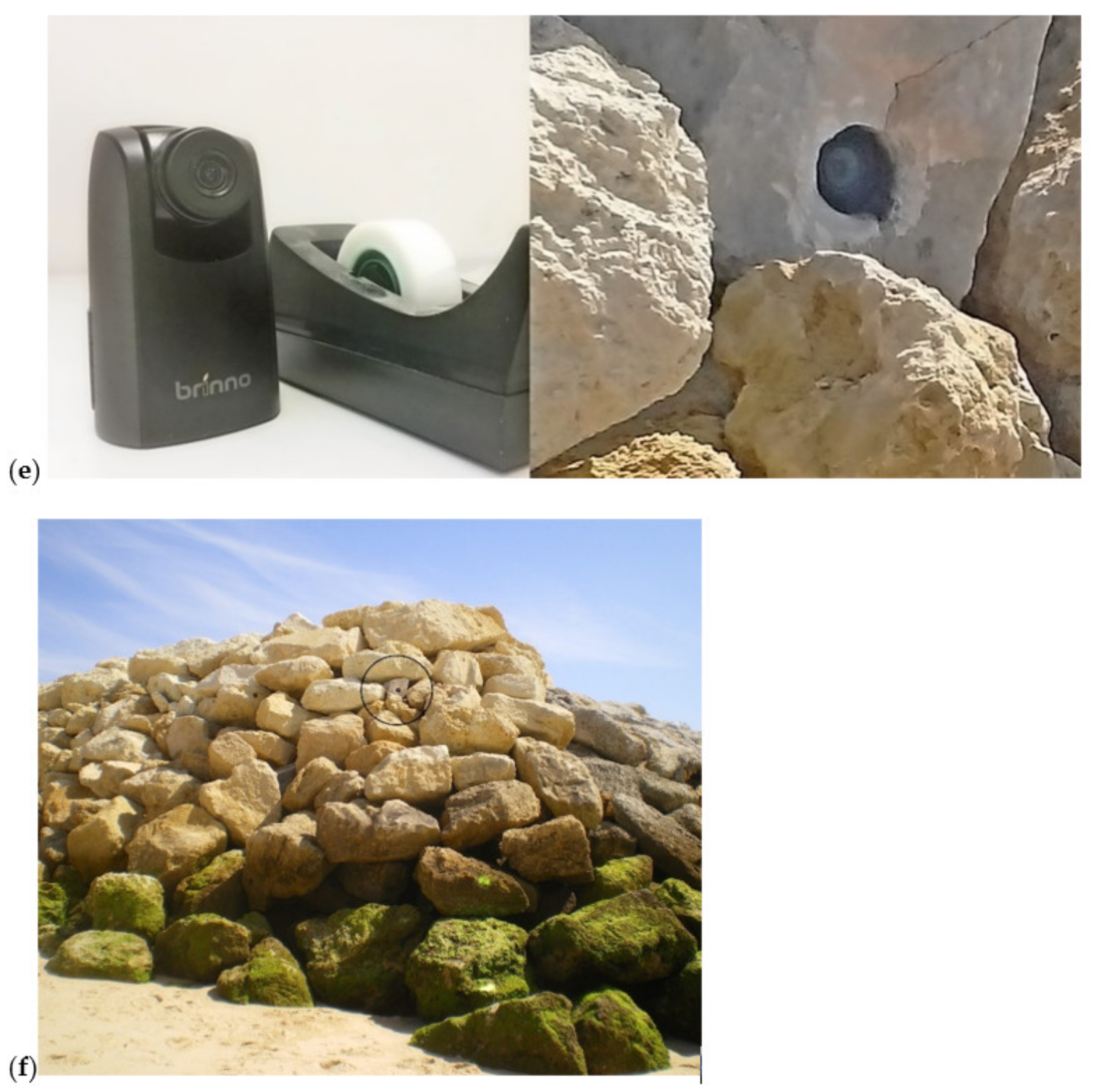 Coasts 02 00005 g006b