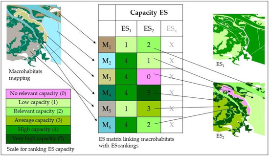 Coasts 02 00012 g002