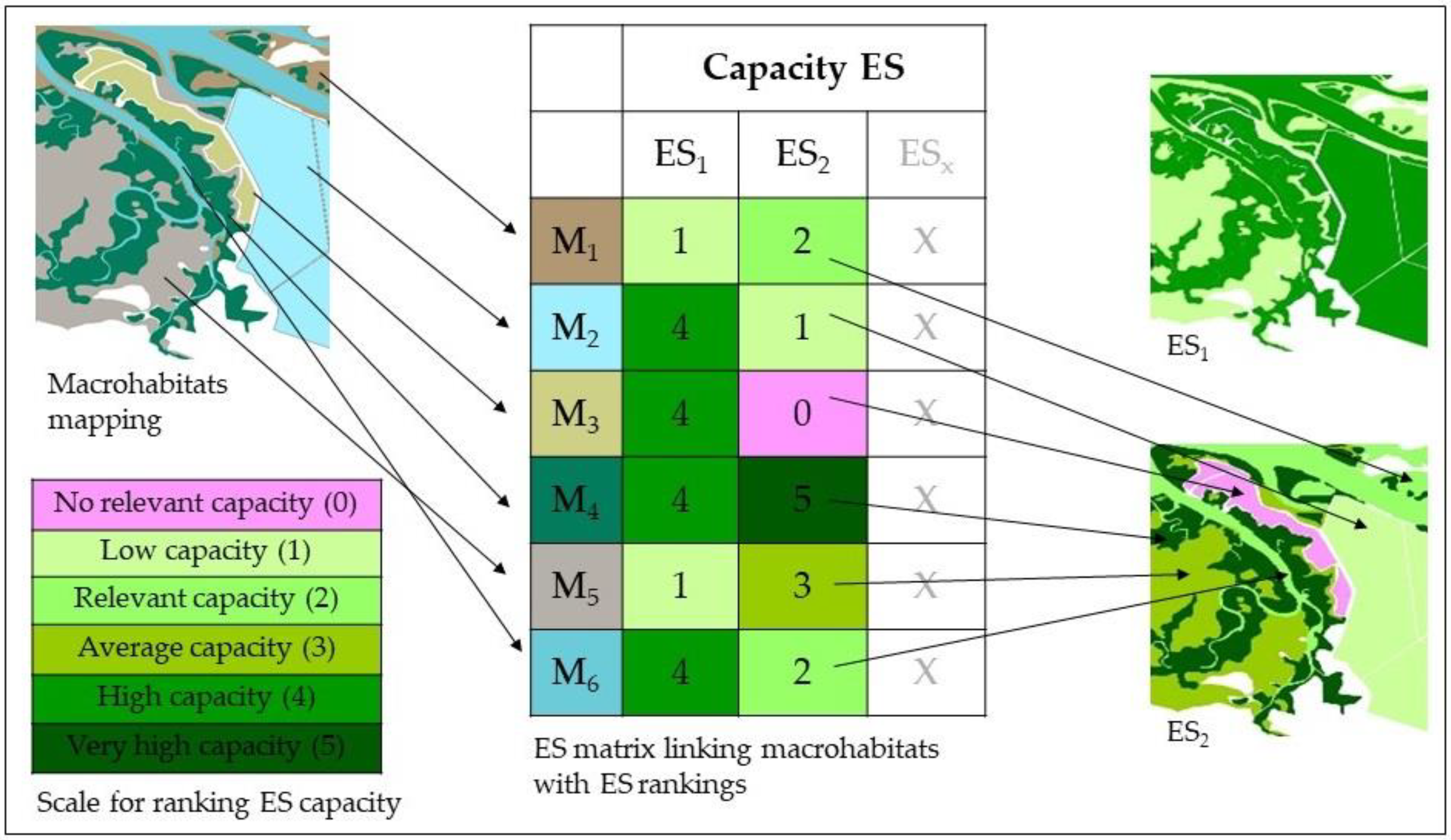 Coasts 02 00012 g002