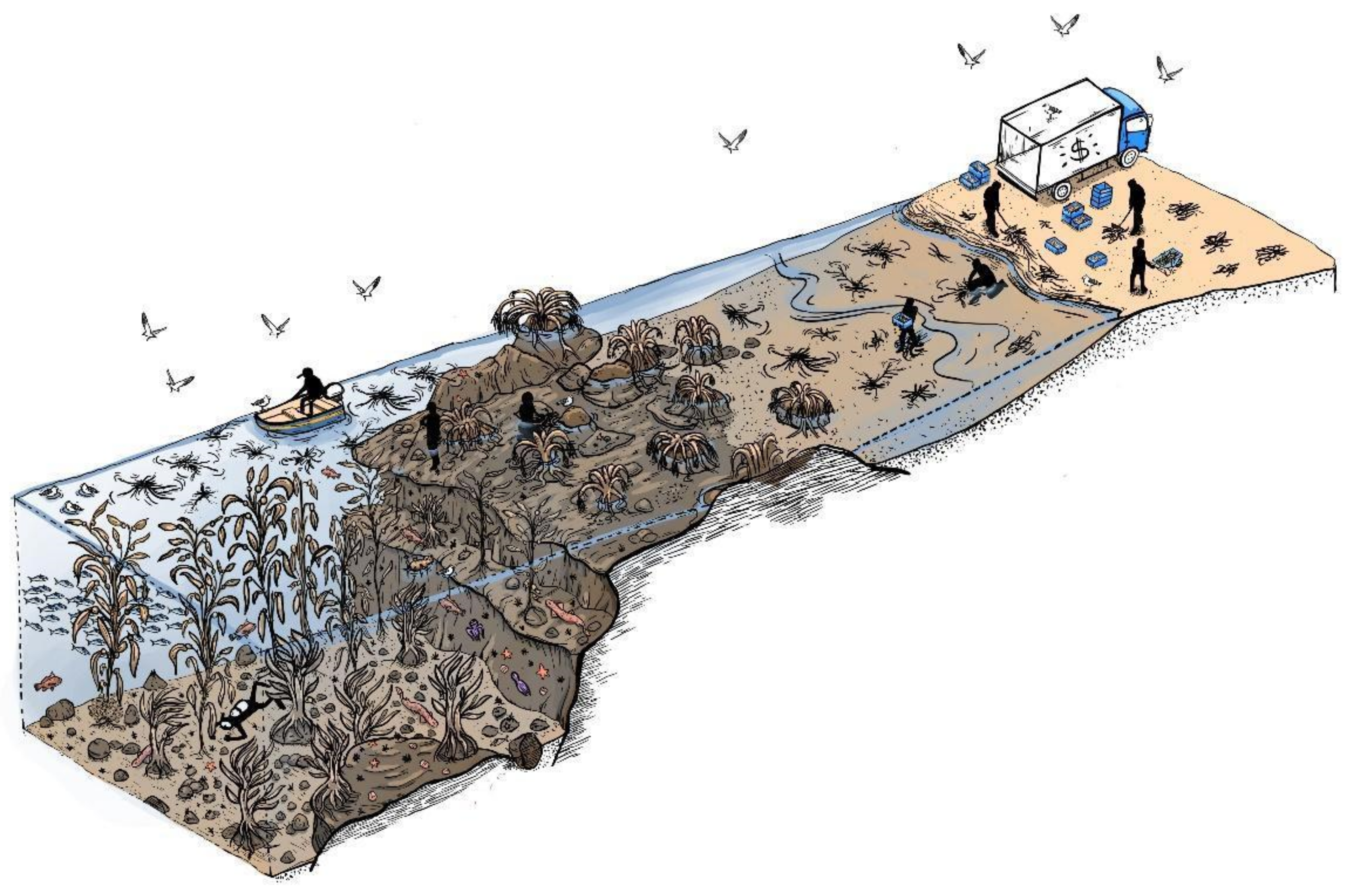 Coasts 02 00013 g006