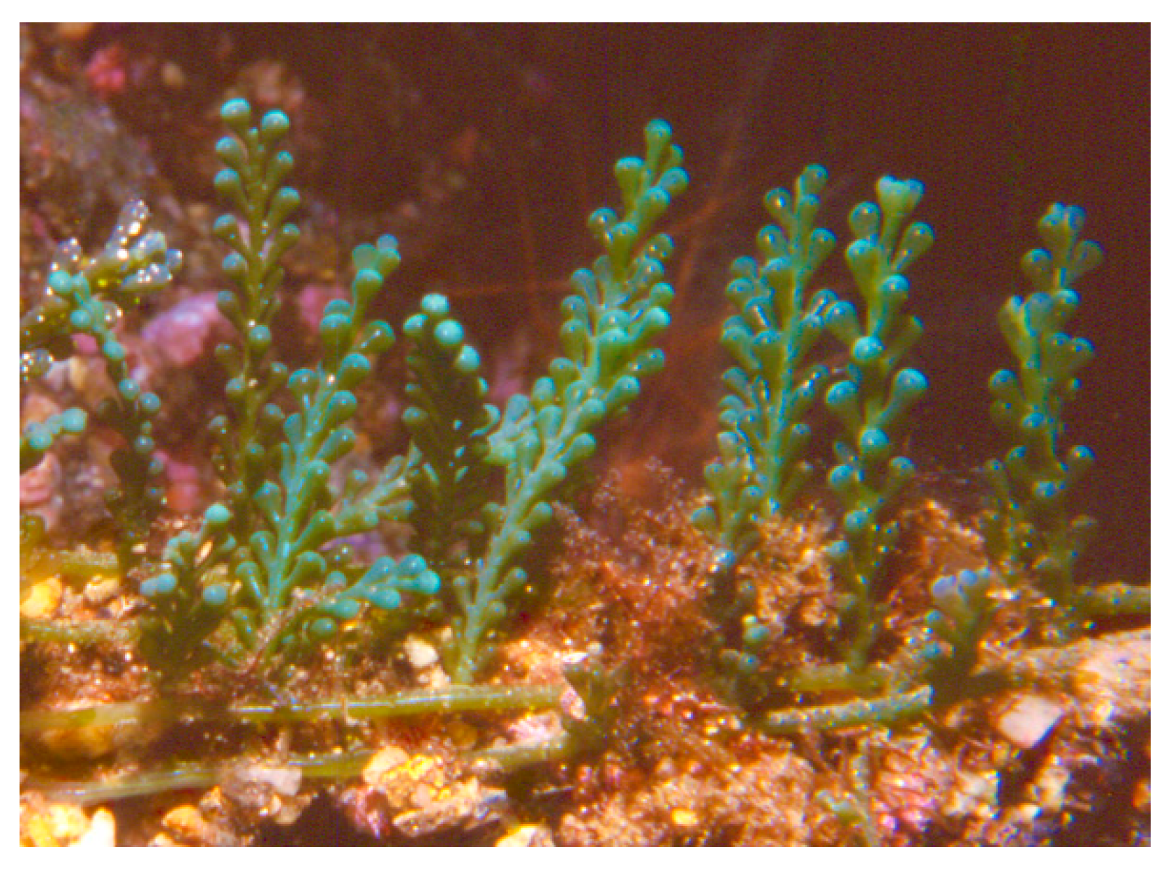 Coasts 04 00003 g002