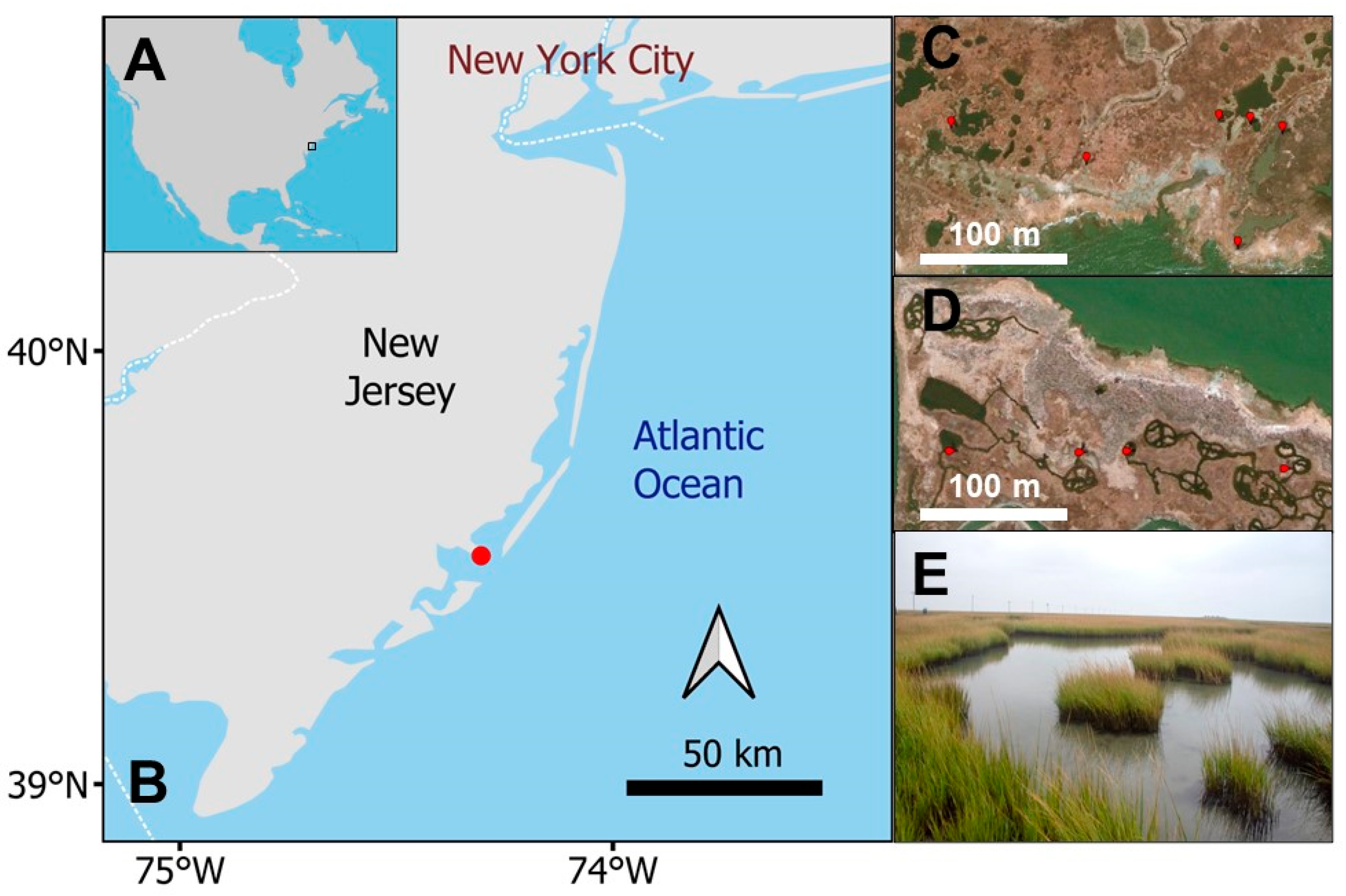 Coasts 04 00015 g001 Coasts 04 00015 g001