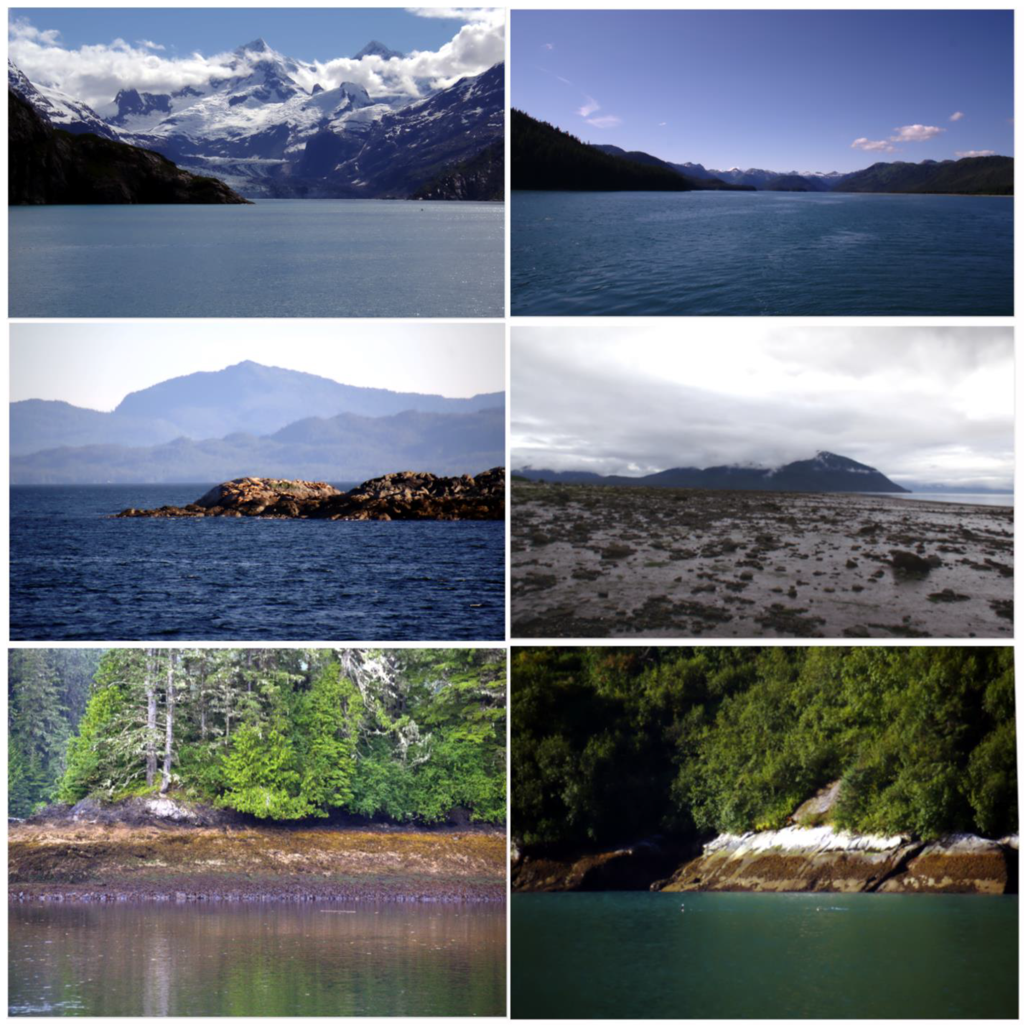 Coasts 04 00017 g003