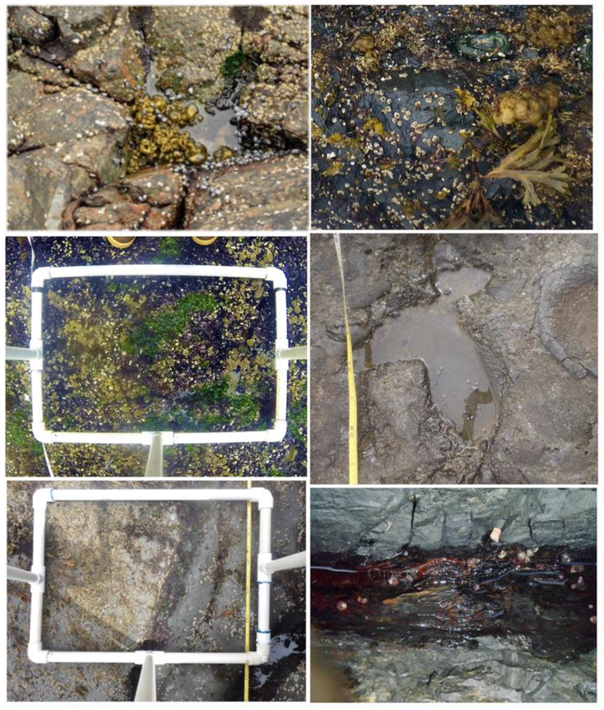 Coasts 04 00017 g005