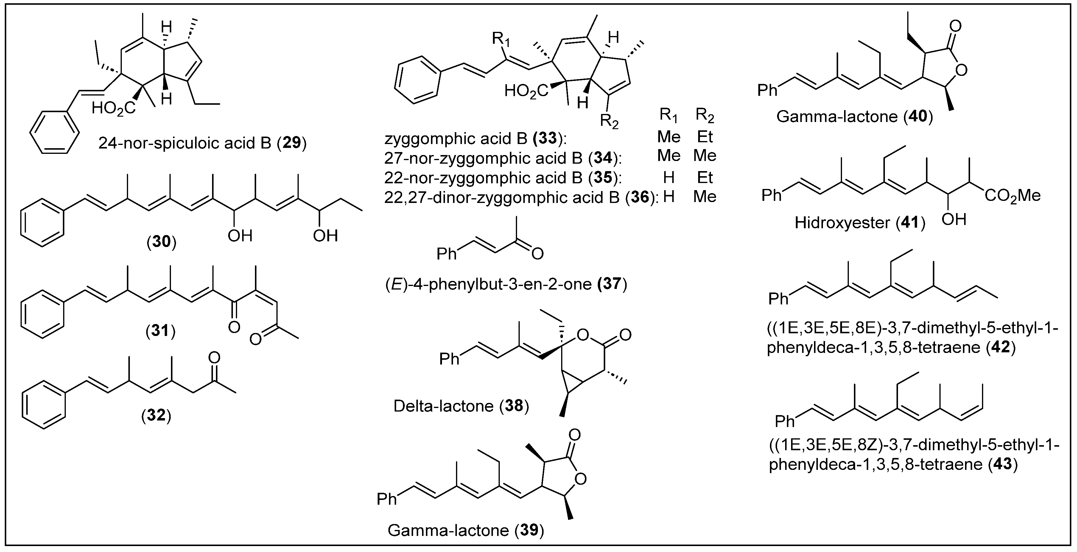 Coasts 04 00029 g005