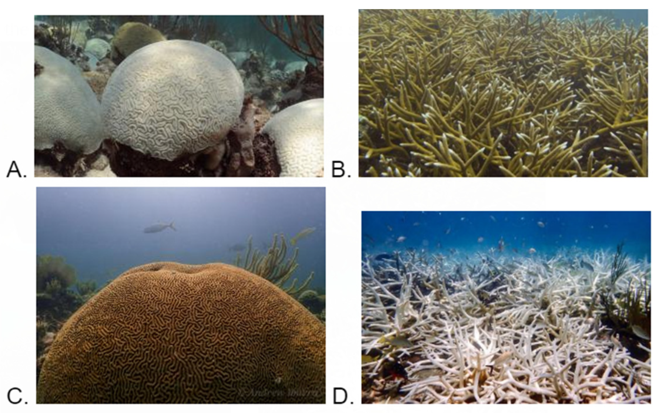 Coasts 04 00031 g002