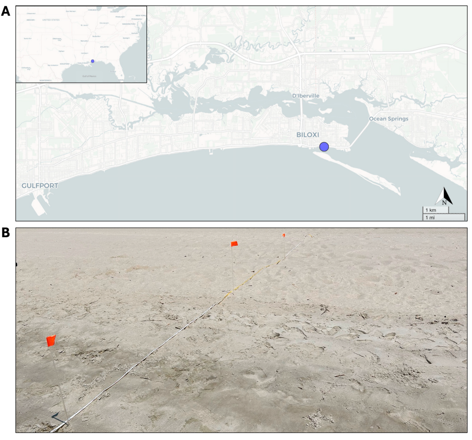 Coasts 05 00034 g001