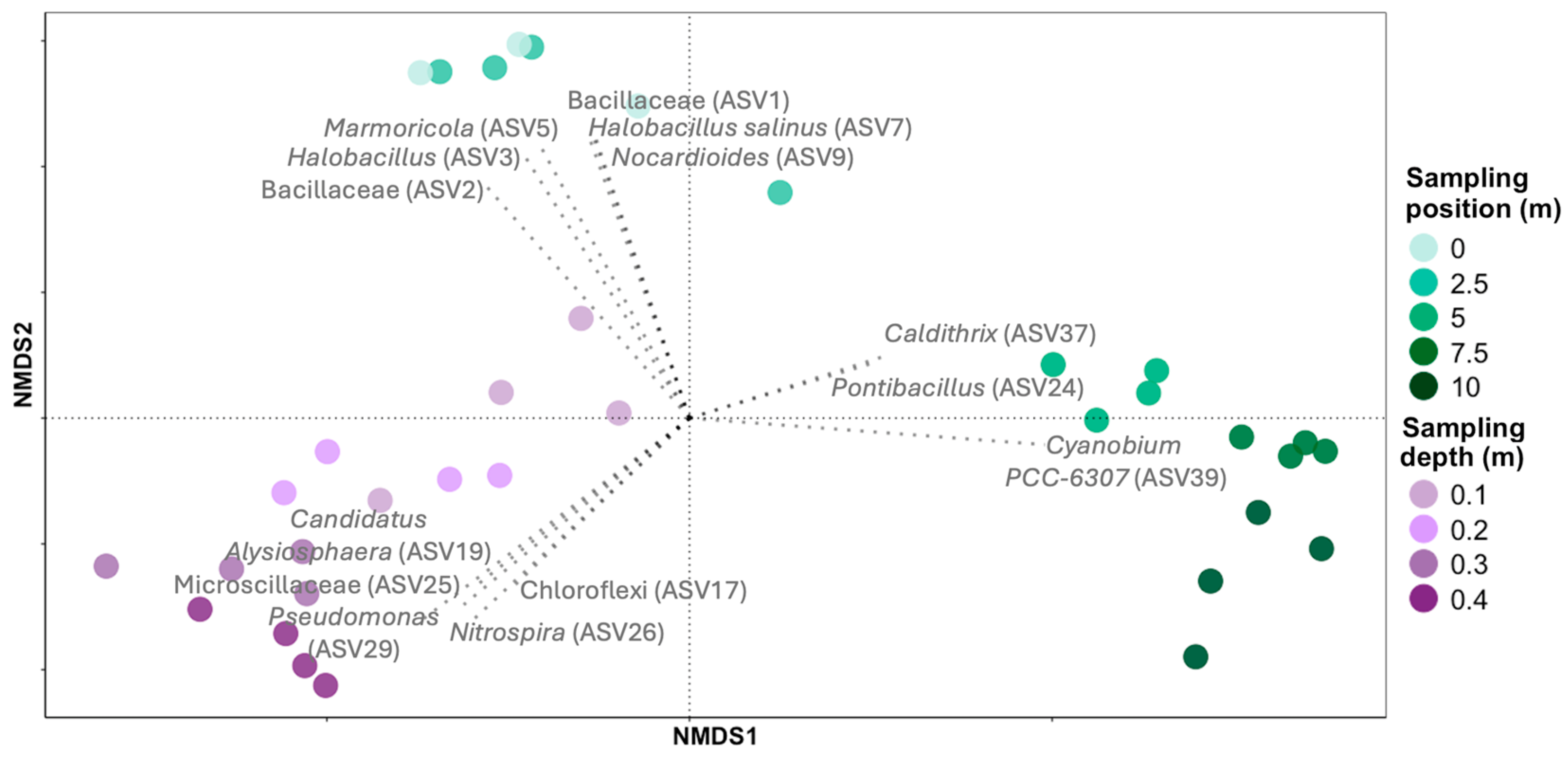 Coasts 05 00034 g007