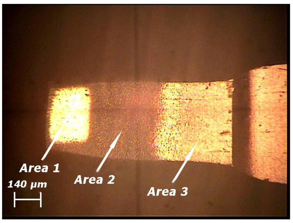 Coatings 02 00008 g003 1024