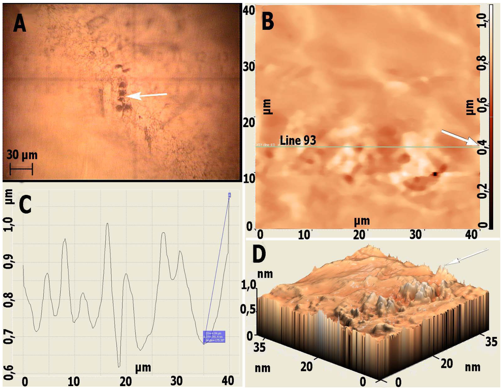 Coatings 02 00008 g009 1024