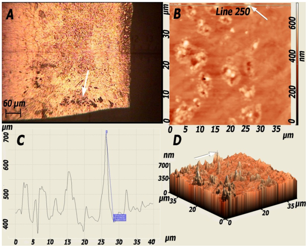 Coatings 02 00008 g010 1024