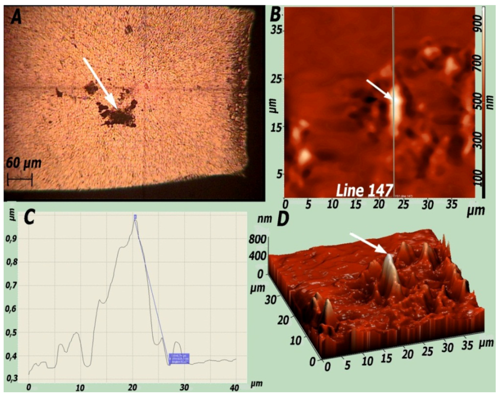 Coatings 02 00008 g011 1024