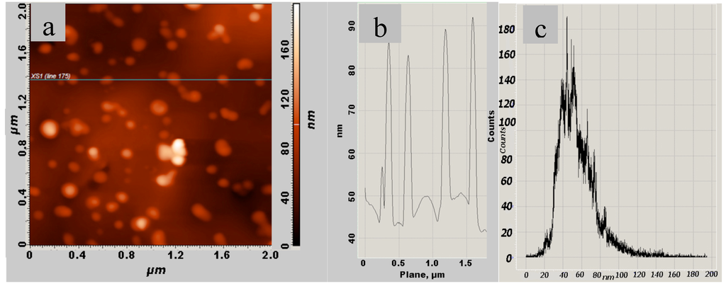 Coatings 02 00008 g017 1024
