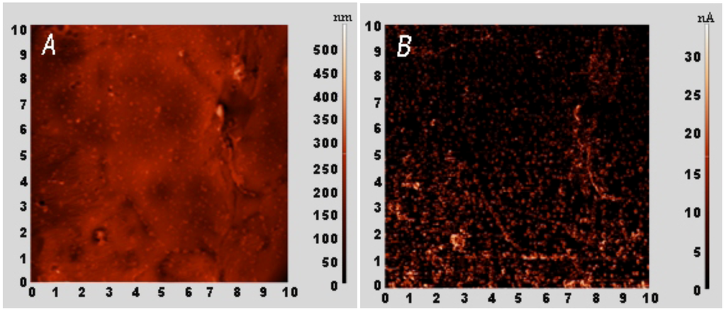 Coatings 02 00008 g018 1024