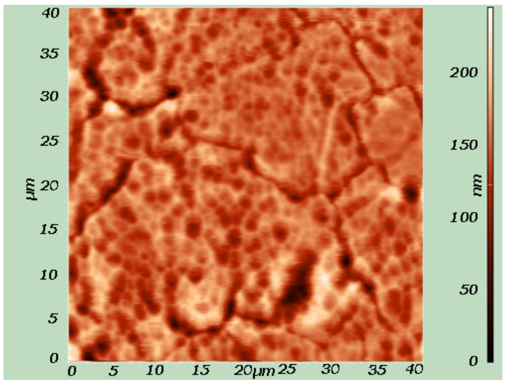 Coatings 02 00008 g019 1024