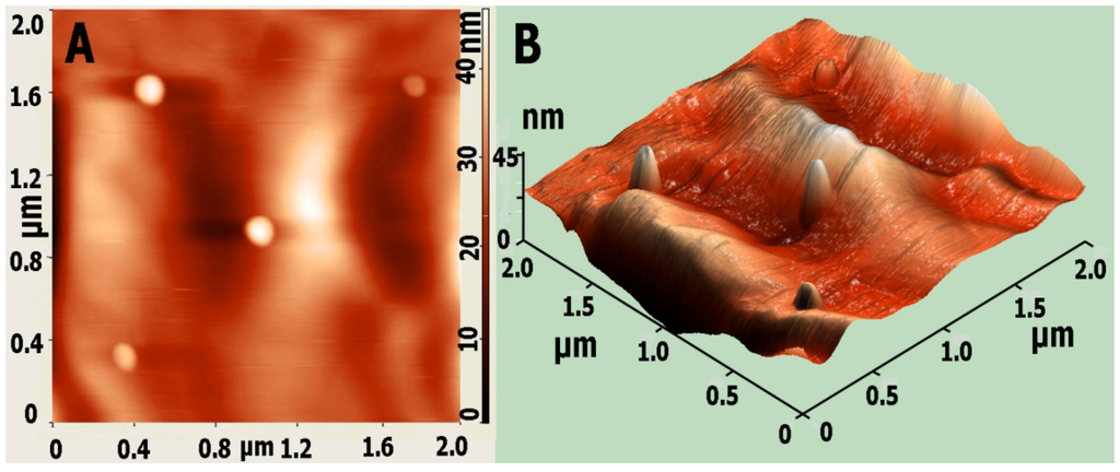 Coatings 02 00008 g020 1024