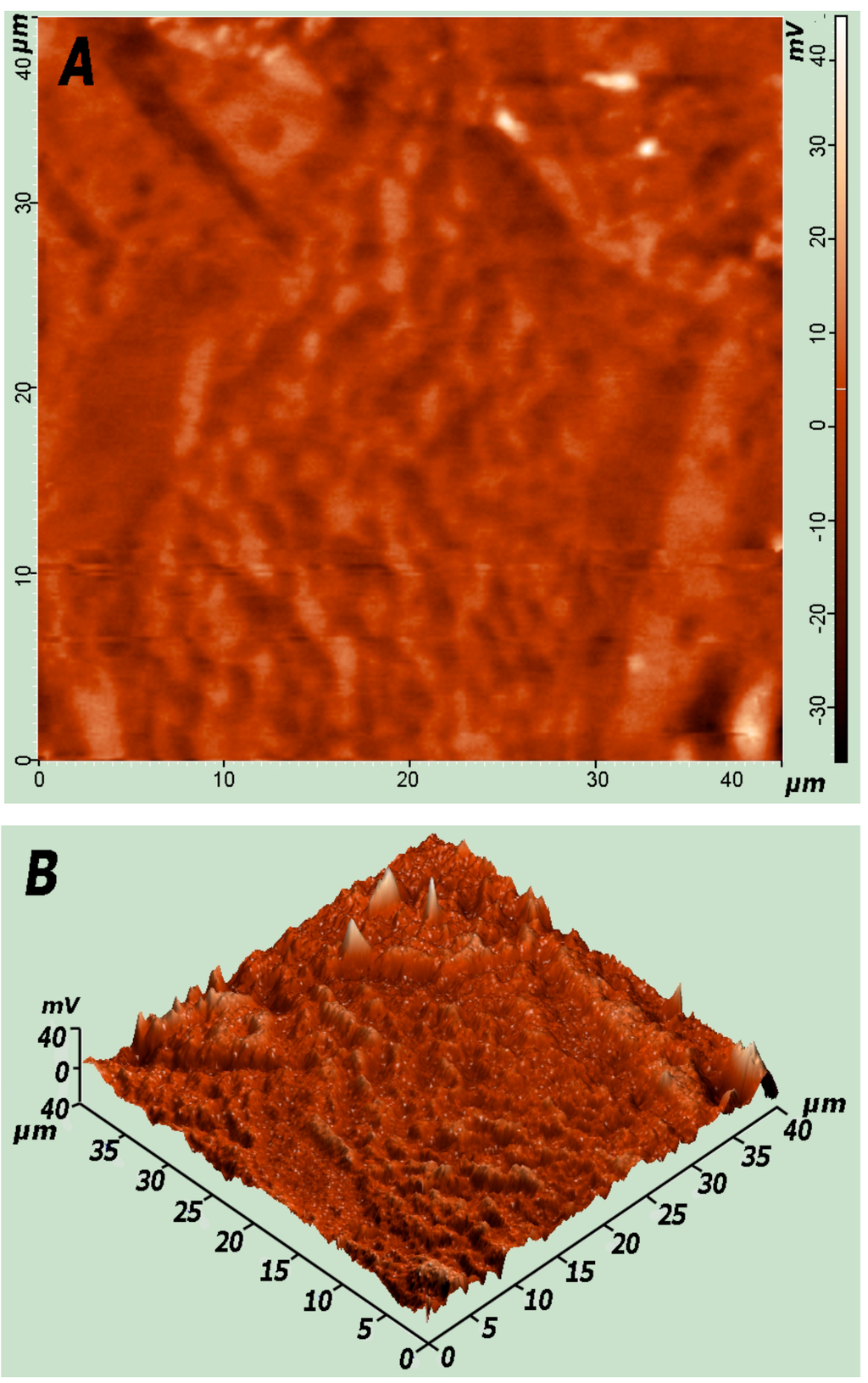 Coatings 02 00008 g022 1024