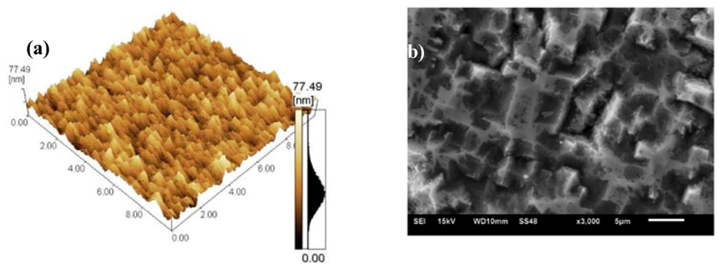 Coatings 02 00195 g002 1024