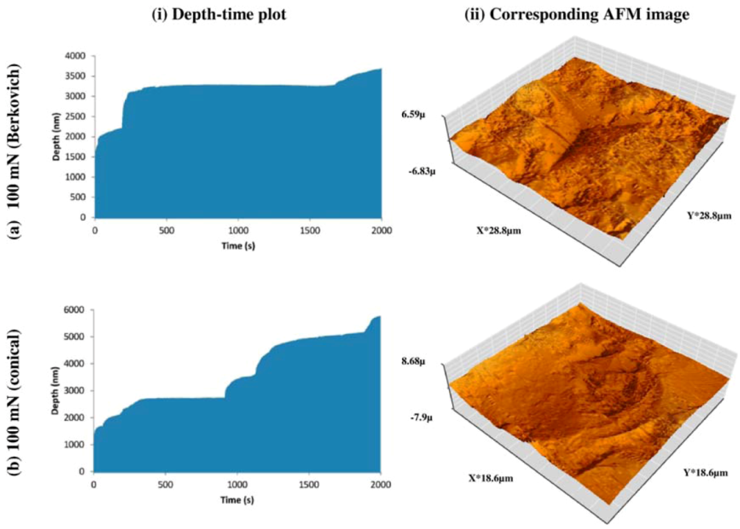Coatings 02 00195 g006
