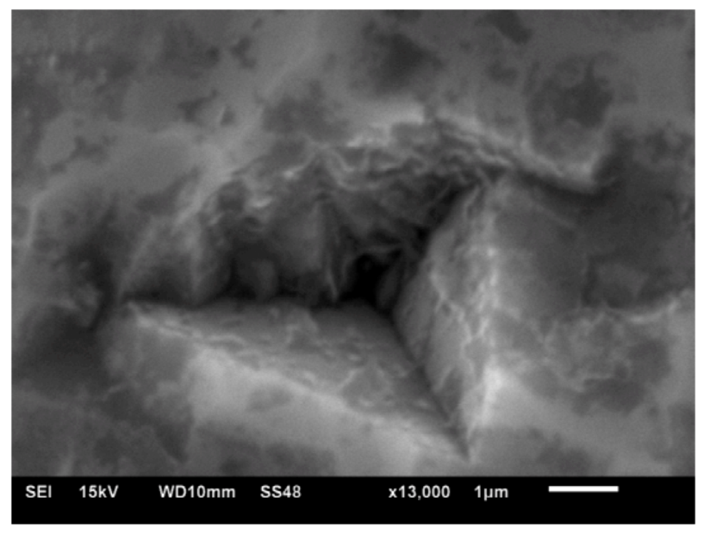 Coatings 02 00195 g010 1024
