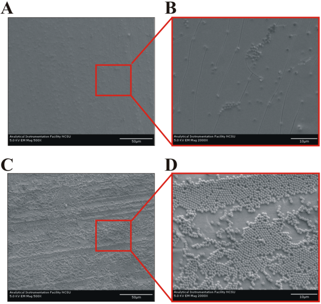 Coatings 03 00026 g004 1024