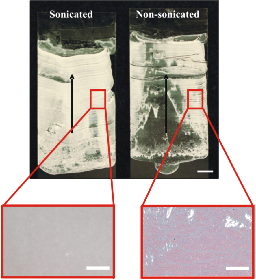 Coatings 03 00026 g005 1024