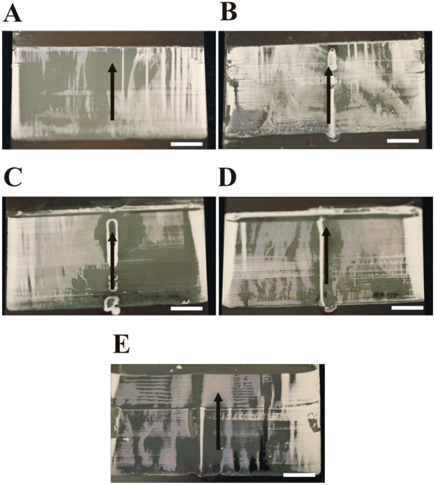 Coatings 03 00026 g008