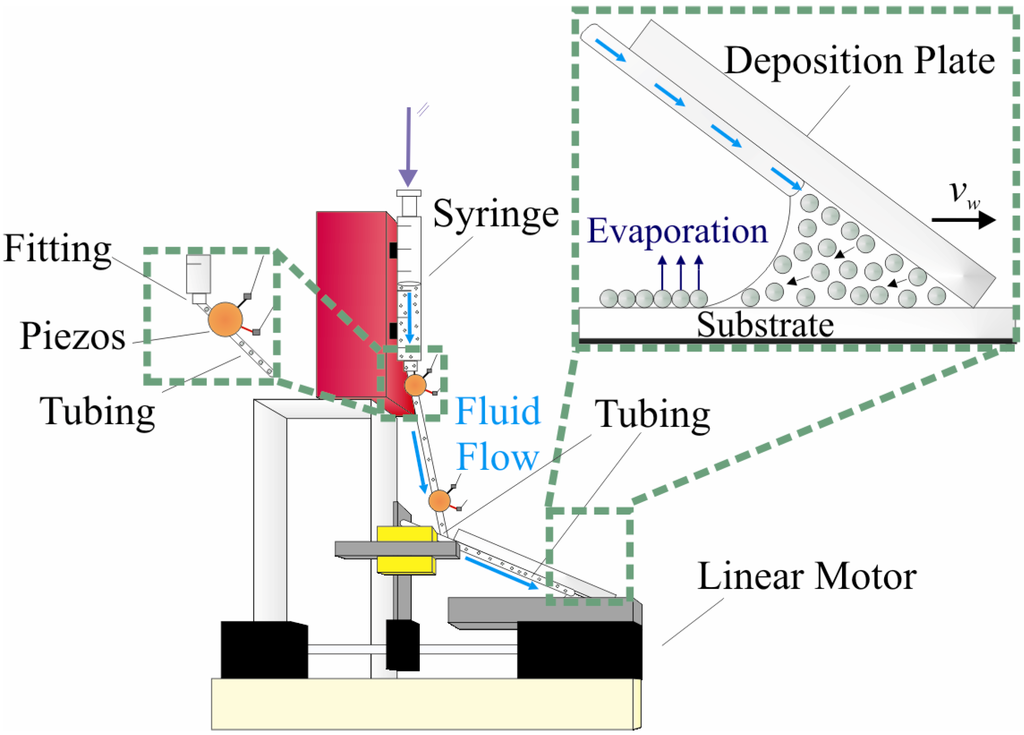 Coatings 03 00026 g009 1024