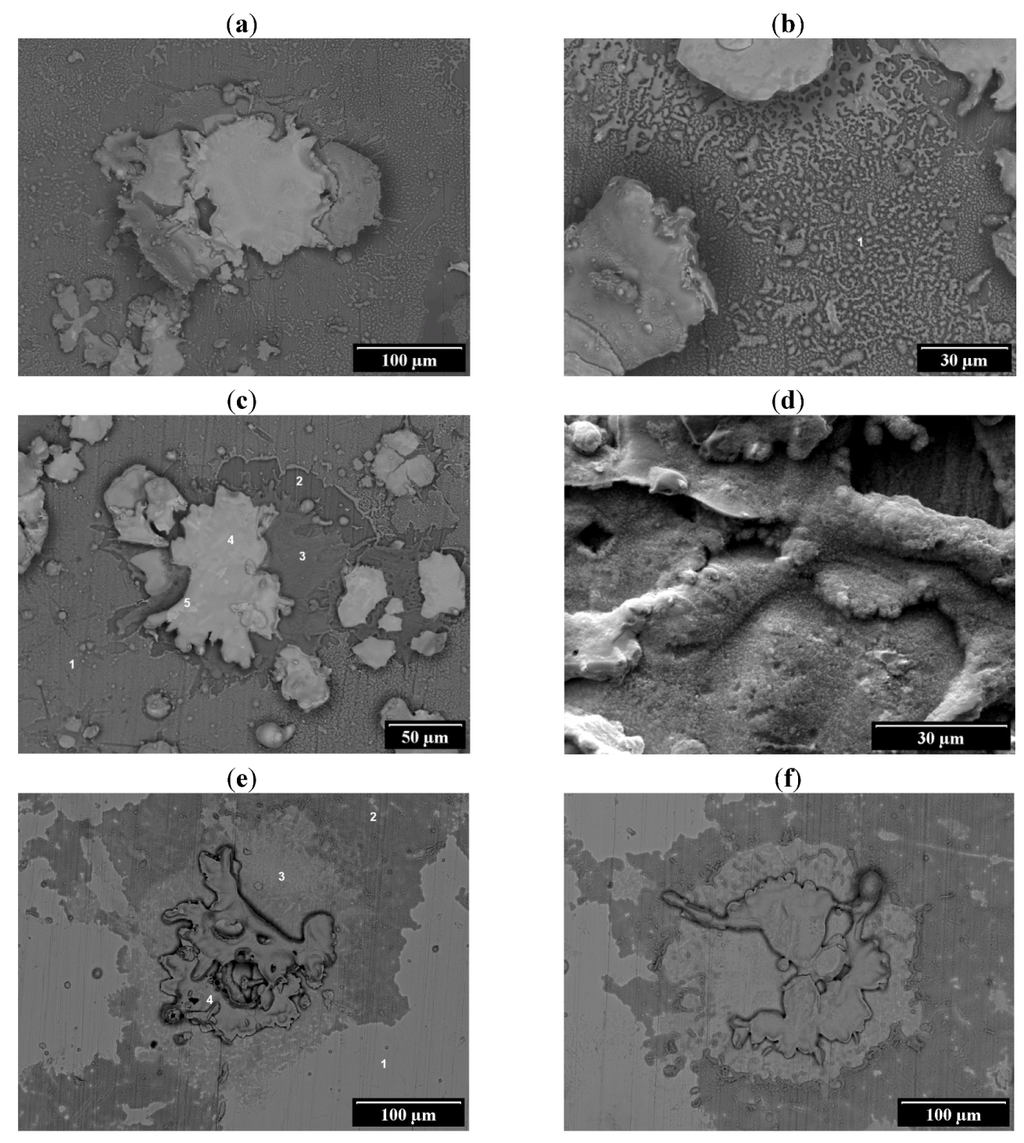 Coatings 03 00108 g003 1024