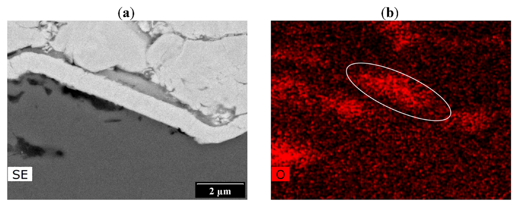 Coatings 03 00108 g006 1024