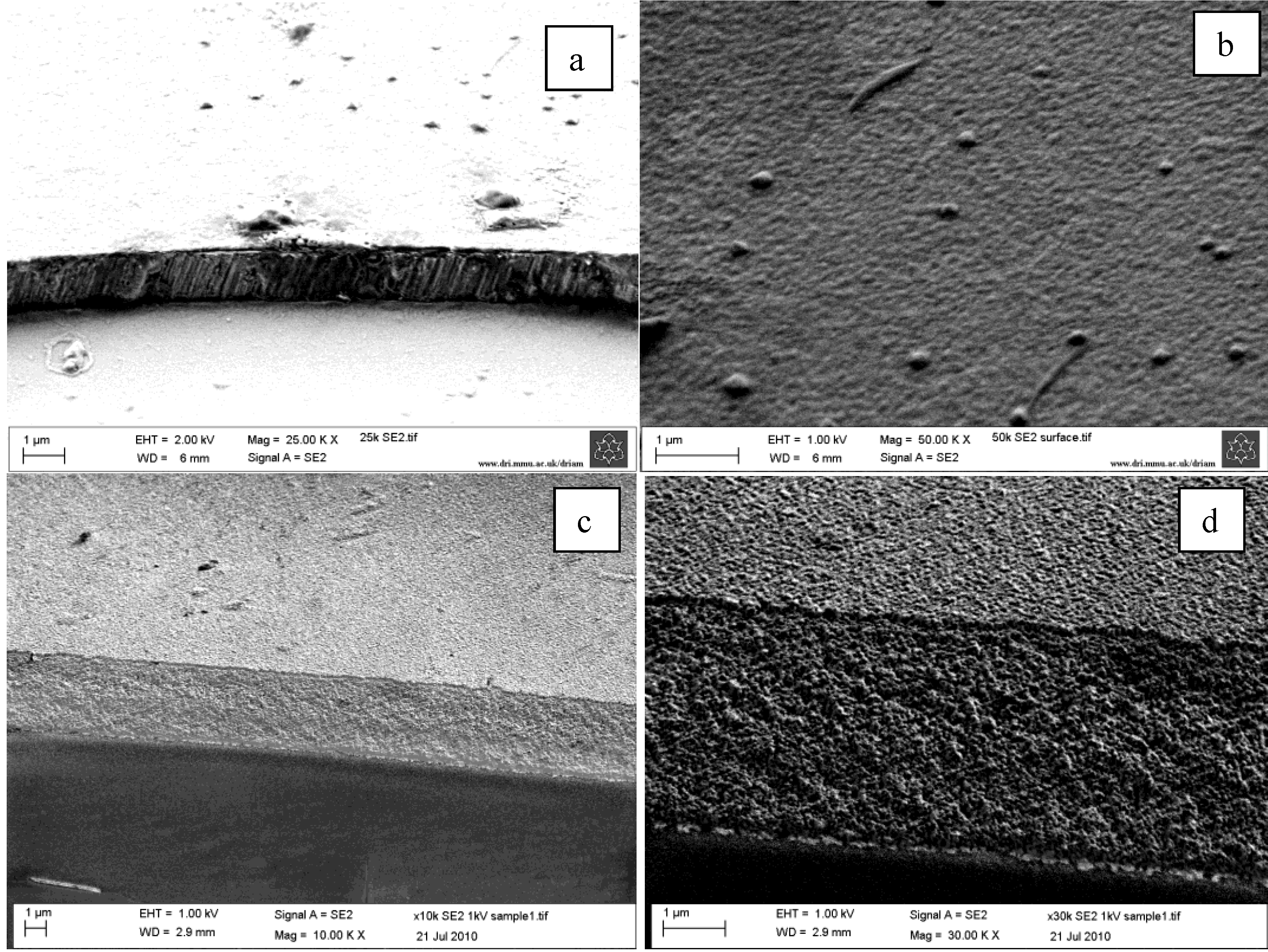 Coatings 03 00177 g004
