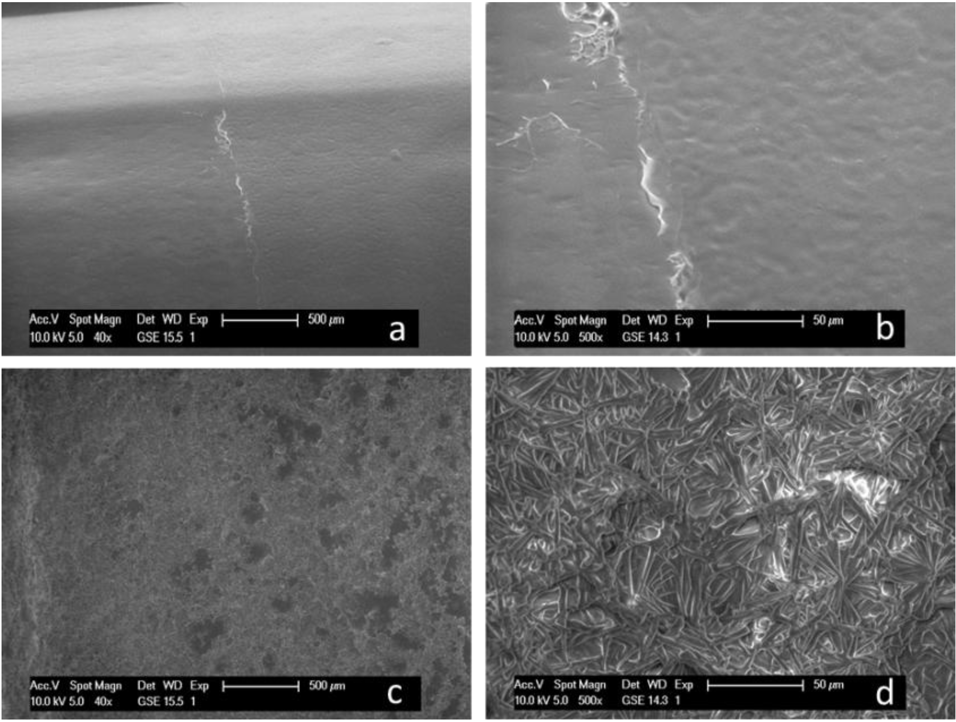 Coatings 03 00253 g003