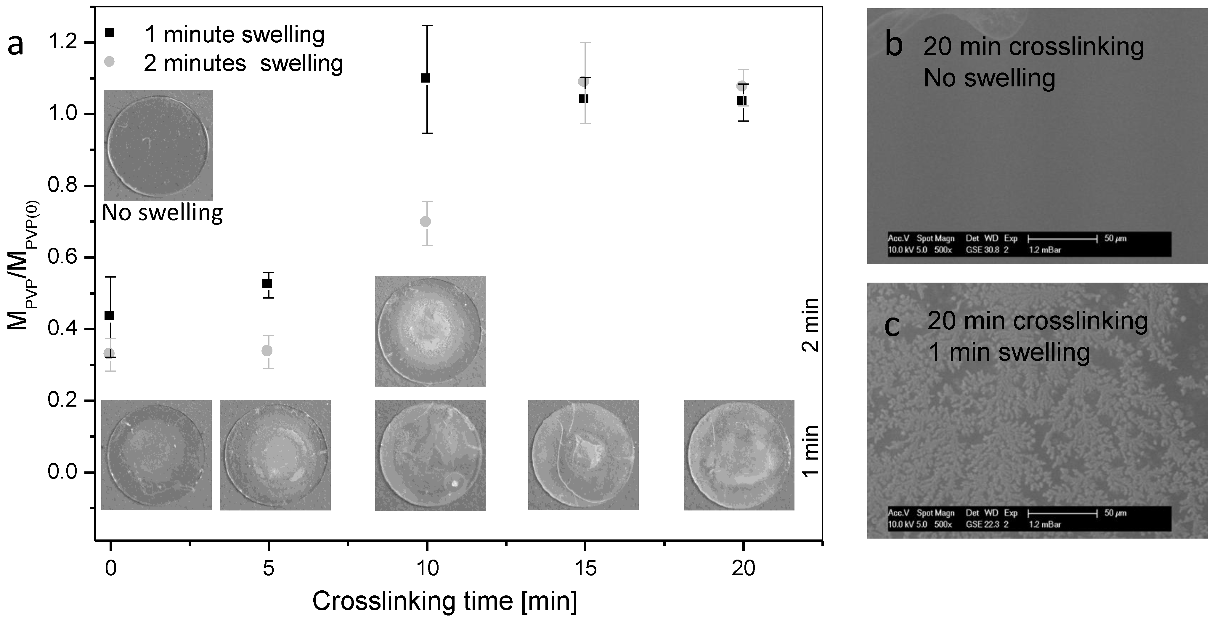 Coatings 03 00253 g005
