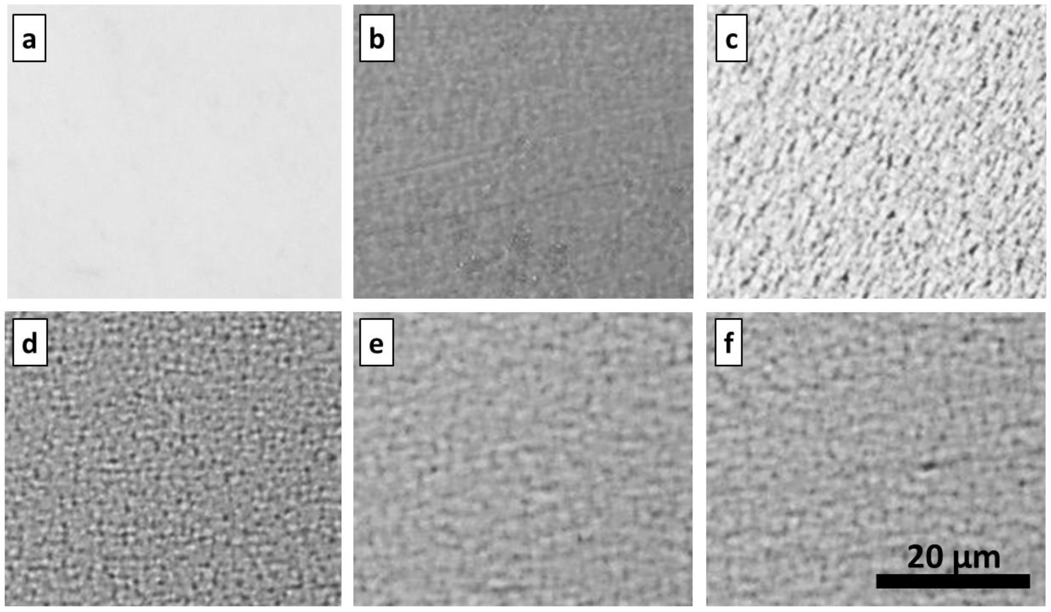 Coatings 03 00268 g006