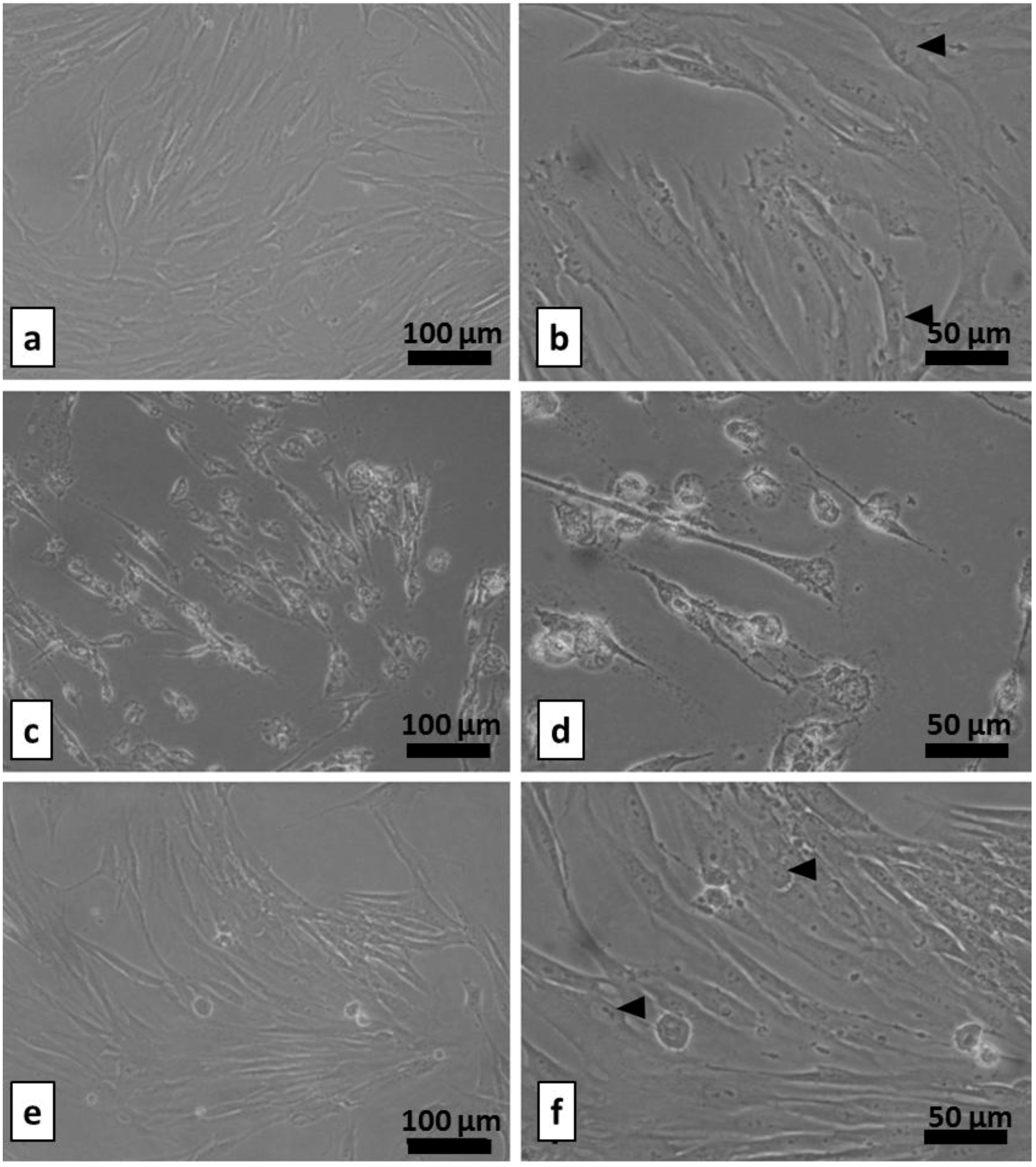 Coatings 03 00268 g011