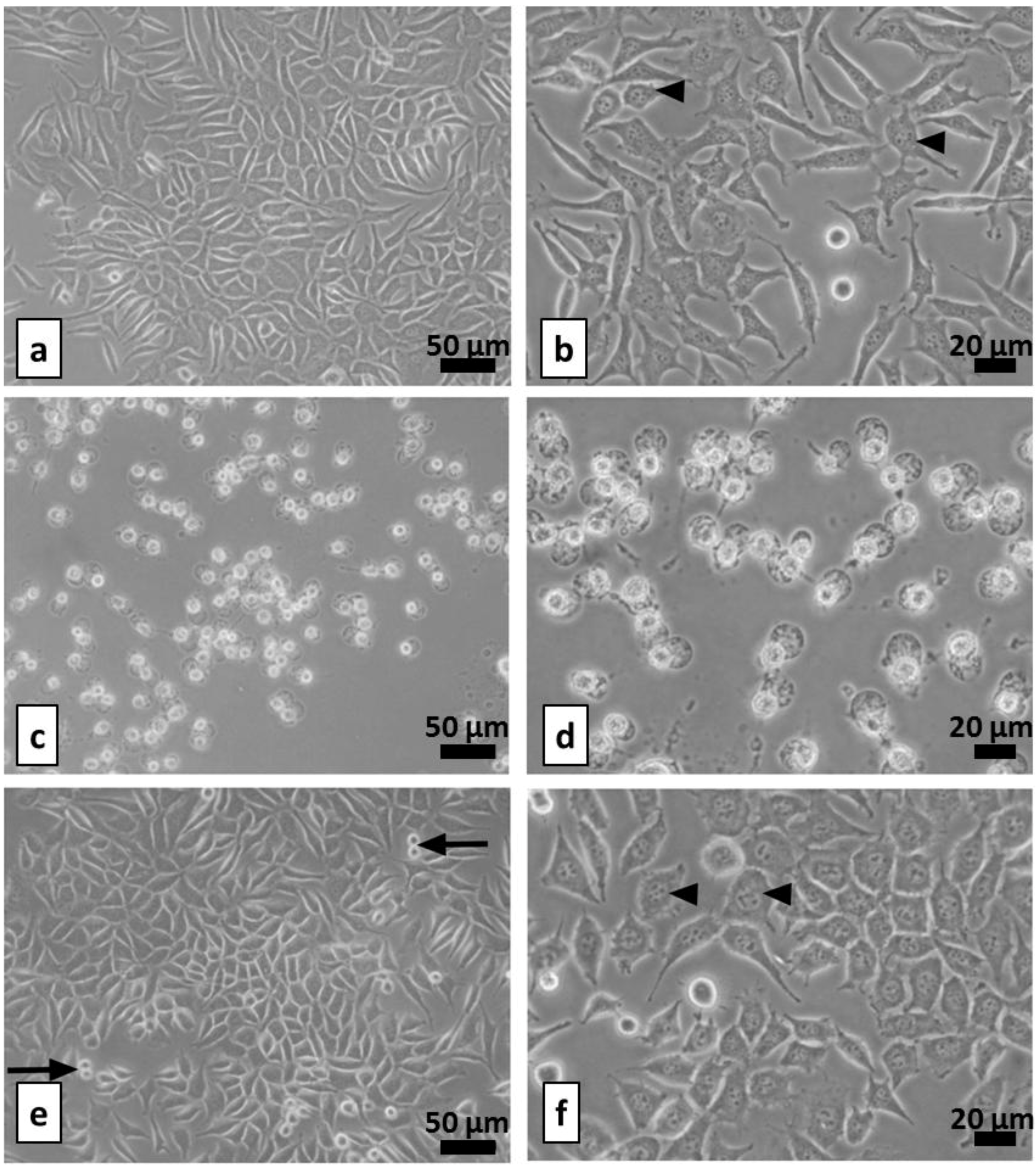 Coatings 03 00268 g012