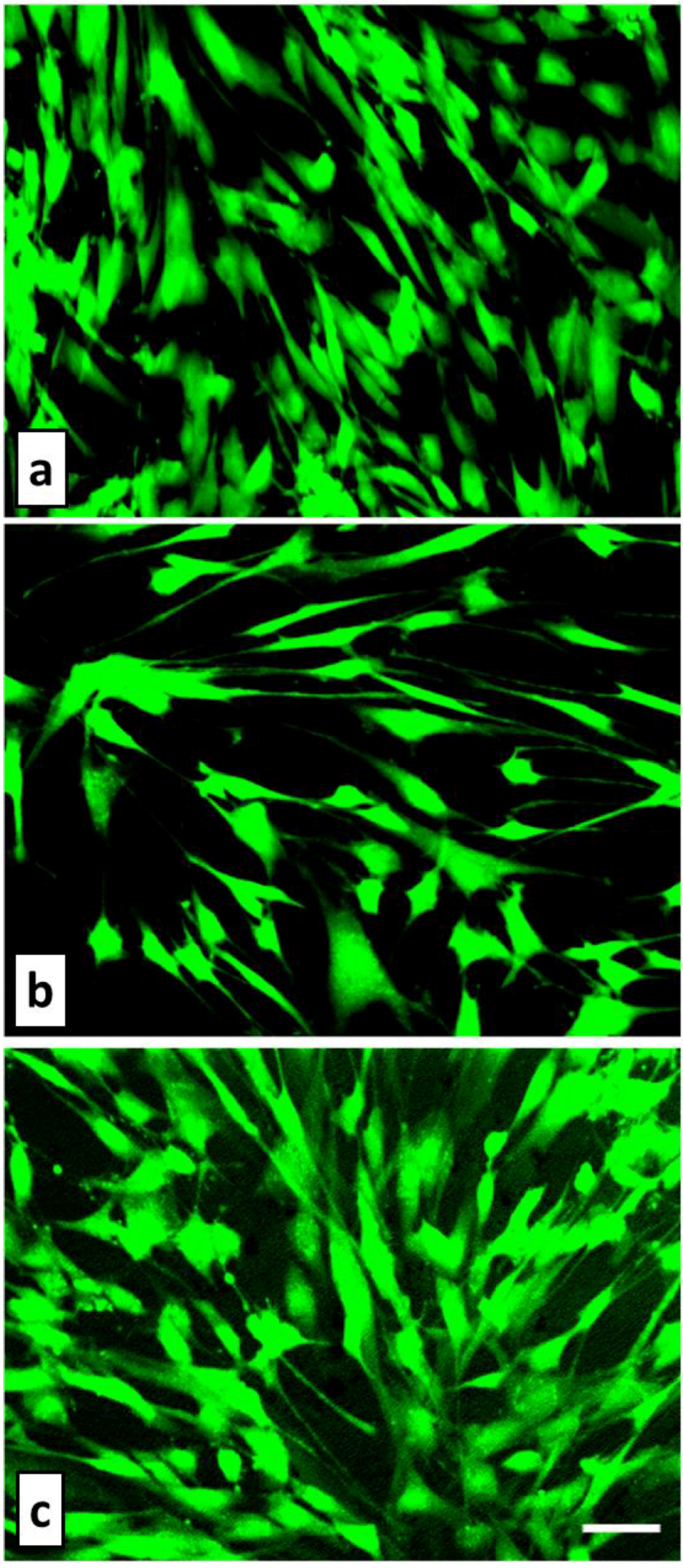 Coatings 03 00268 g013