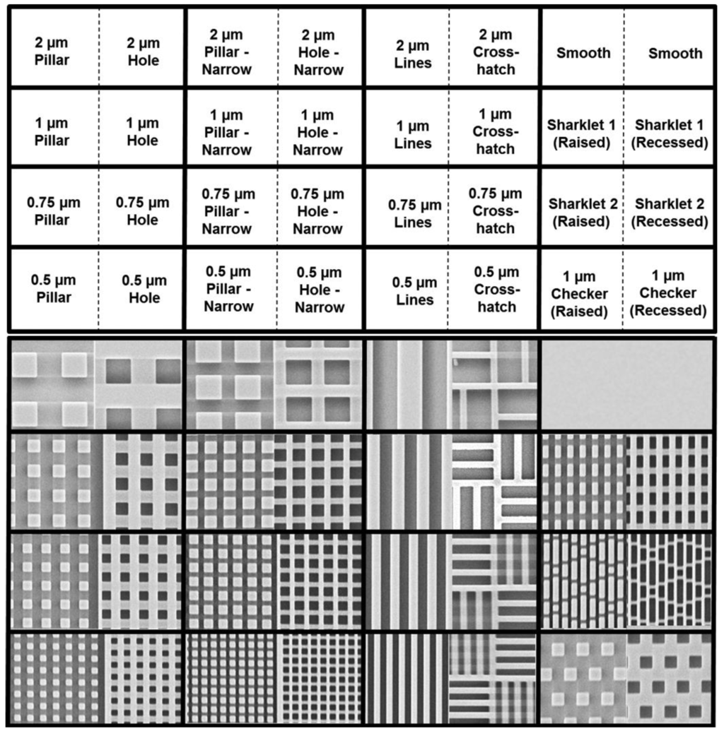 Coatings 04 00037 g004 1024