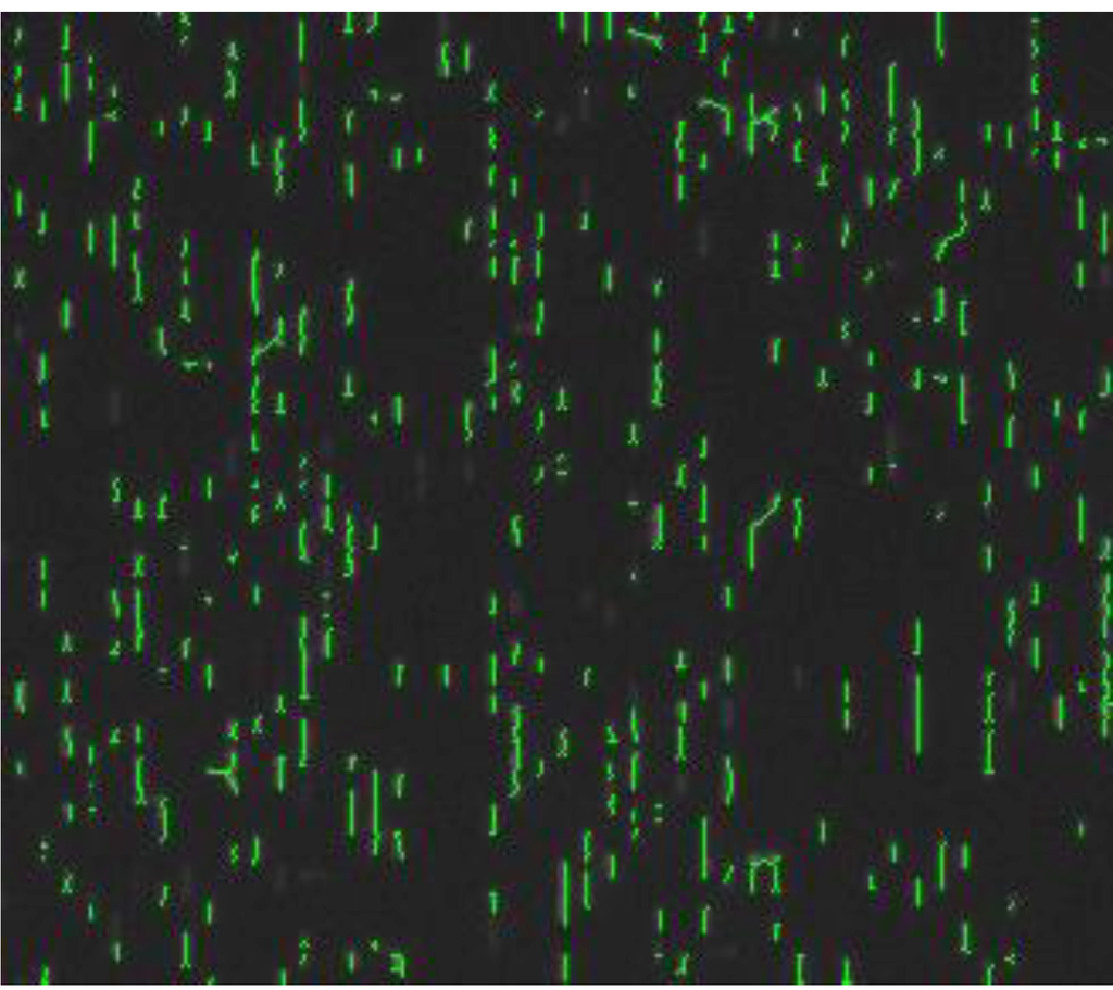 Coatings 04 00037 g006 1024