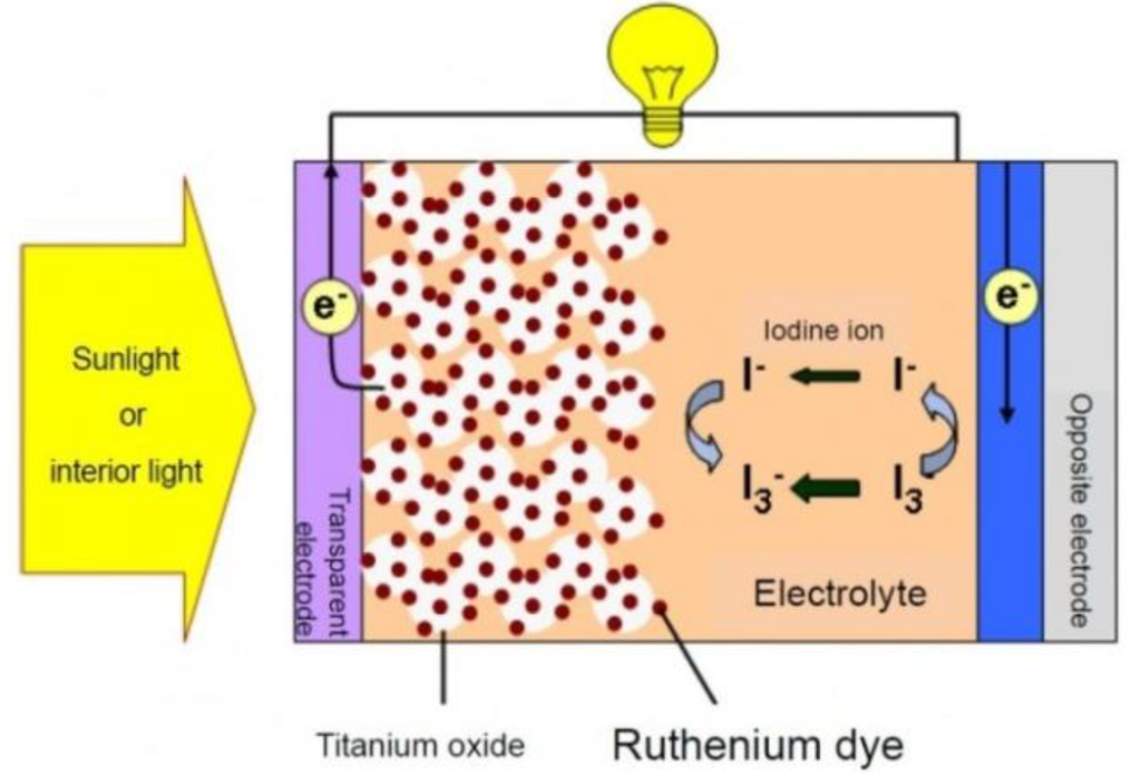 Coatings 04 00060 g002 1024