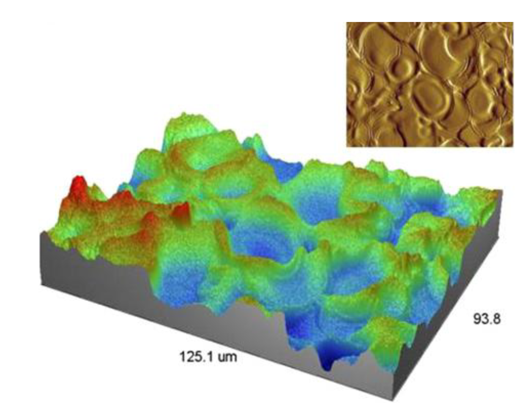 Coatings 04 00060 g007 1024