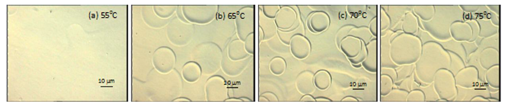 Coatings 04 00060 g009 1024