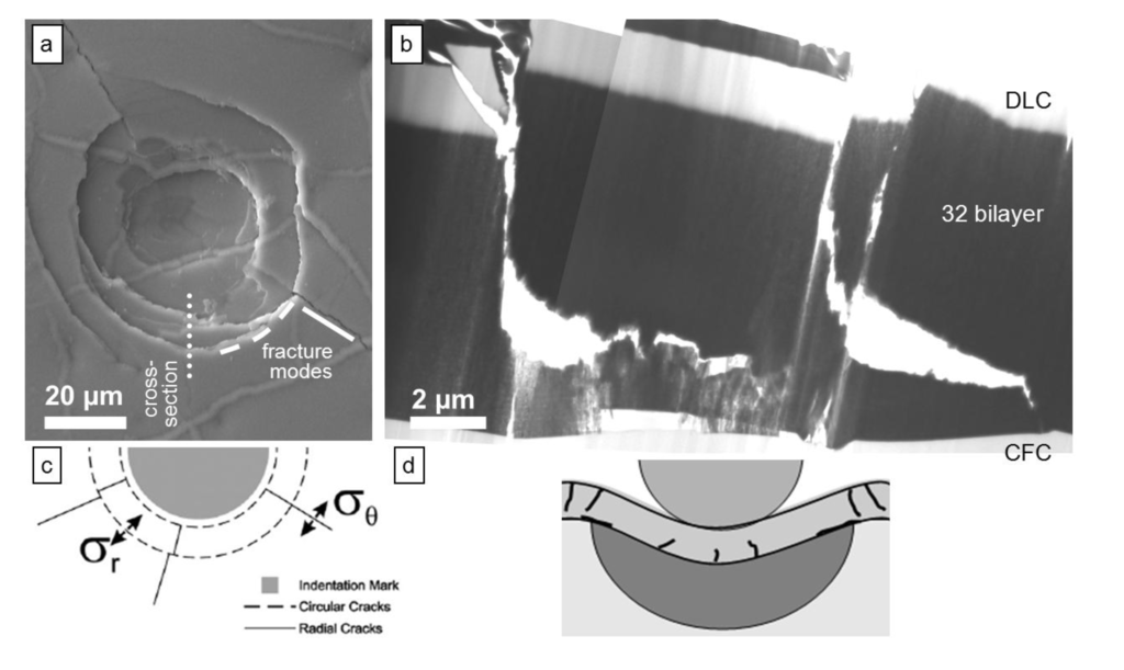 Coatings 04 00121 g005 1024