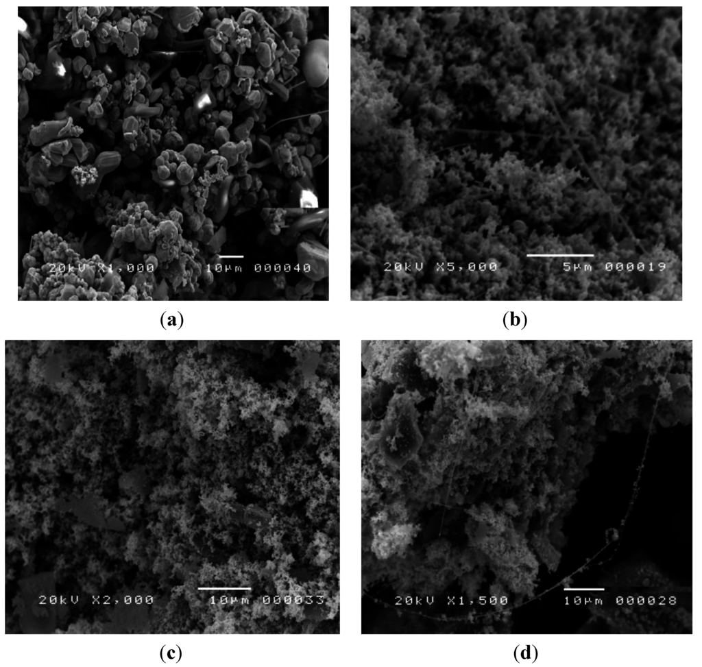 Coatings 04 00320 g001 1024