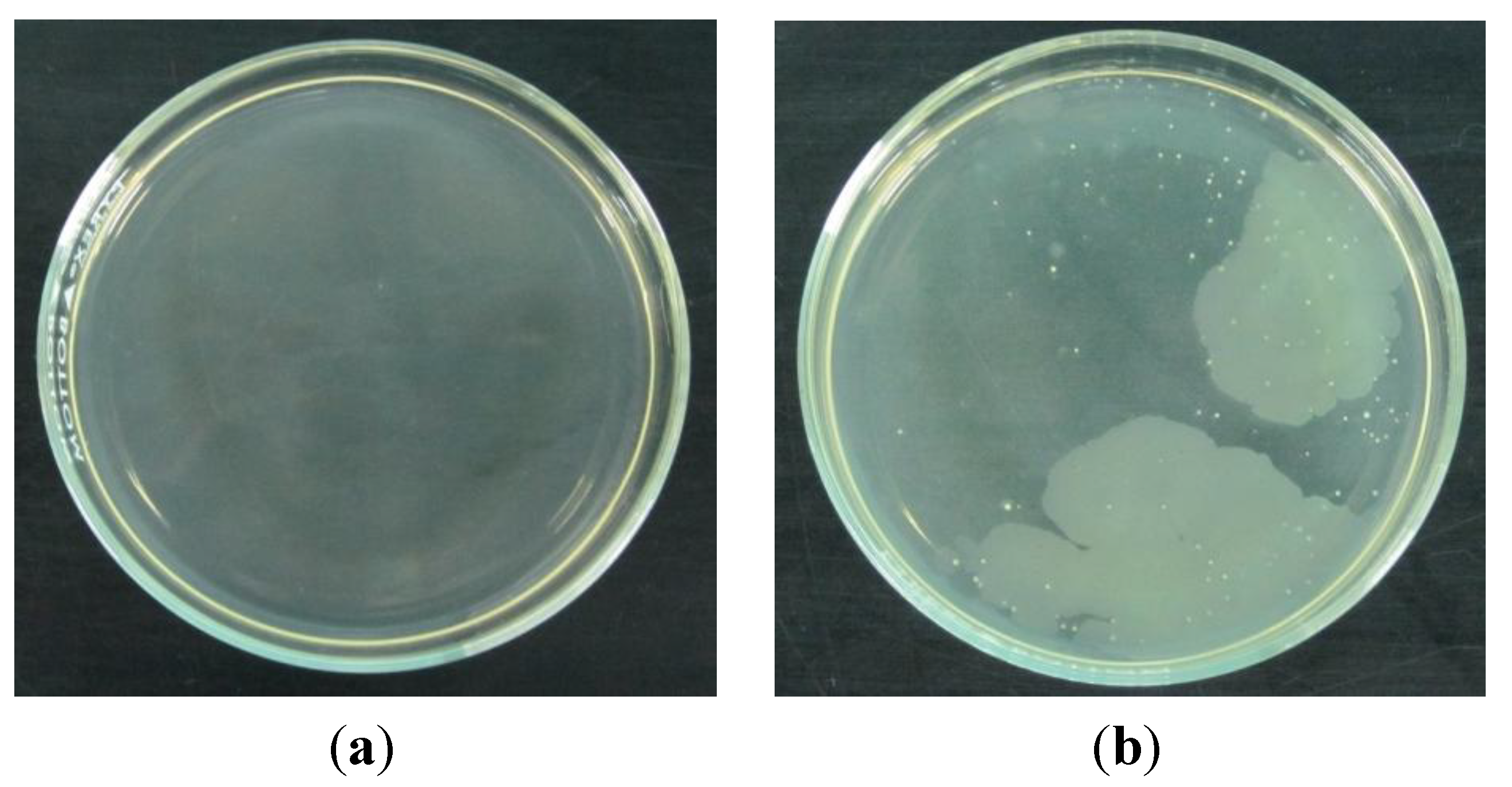 Coatings 04 00320 g002