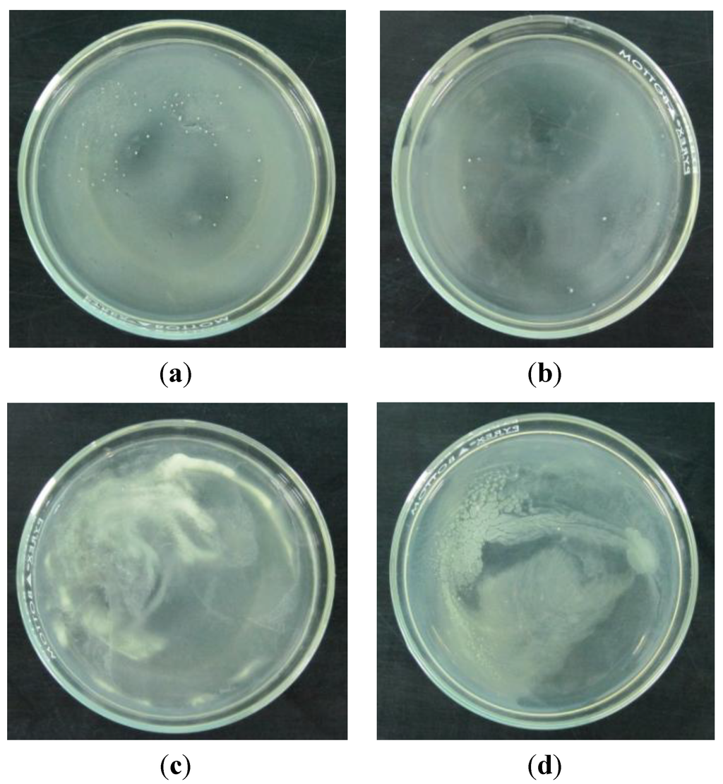 Coatings 04 00320 g003 1024